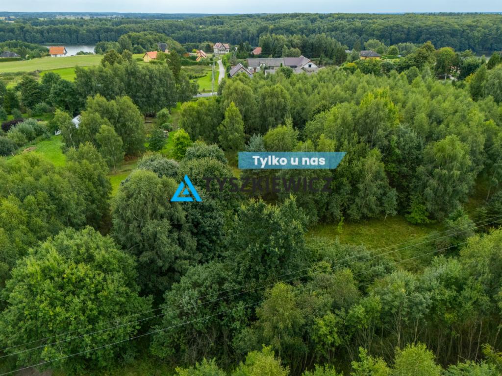 Własny kawałek Kaszub - 4,55 ha z lasem! - zdjęcie 1