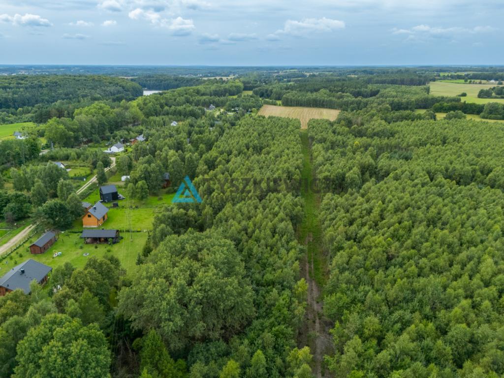 Własny kawałek Kaszub - 4,55 ha z lasem! - zdjęcie 18