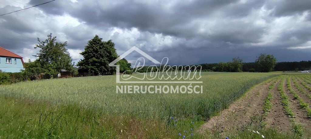 Działka budowlana 1195&nbsp;m², Żarnowo - zdjęcie 8