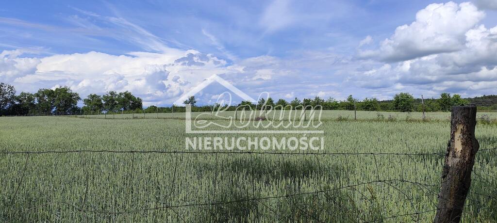 Działka budowlana 1195&nbsp;m², Żarnowo - zdjęcie 4