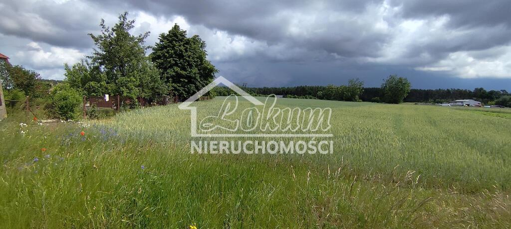 Działka budowlana 1195&nbsp;m², Żarnowo - zdjęcie 3