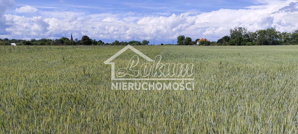 Działka budowlana 1195&nbsp;m², Żarnowo - zdjęcie 1