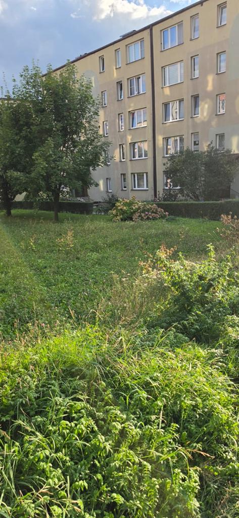 Mieszkanie 45 m², Rybnik, Gustawa Morcinka - zdjęcie 3