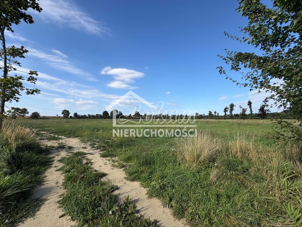 Działka budowlana 1,02&nbsp;ha, Żelewo - zdjęcie 1
