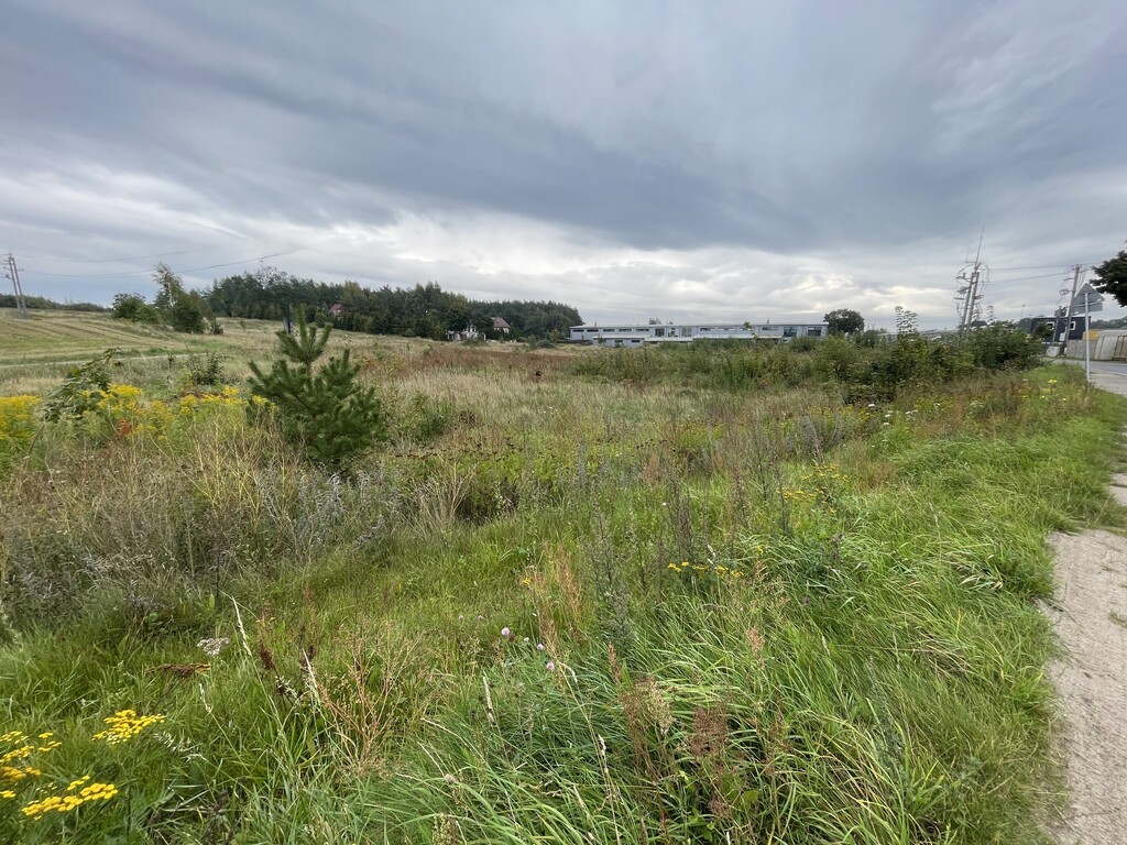 Działka inwestycyjna 3007 m², Załęże, Rzemieślnicza - zdjęcie 5
