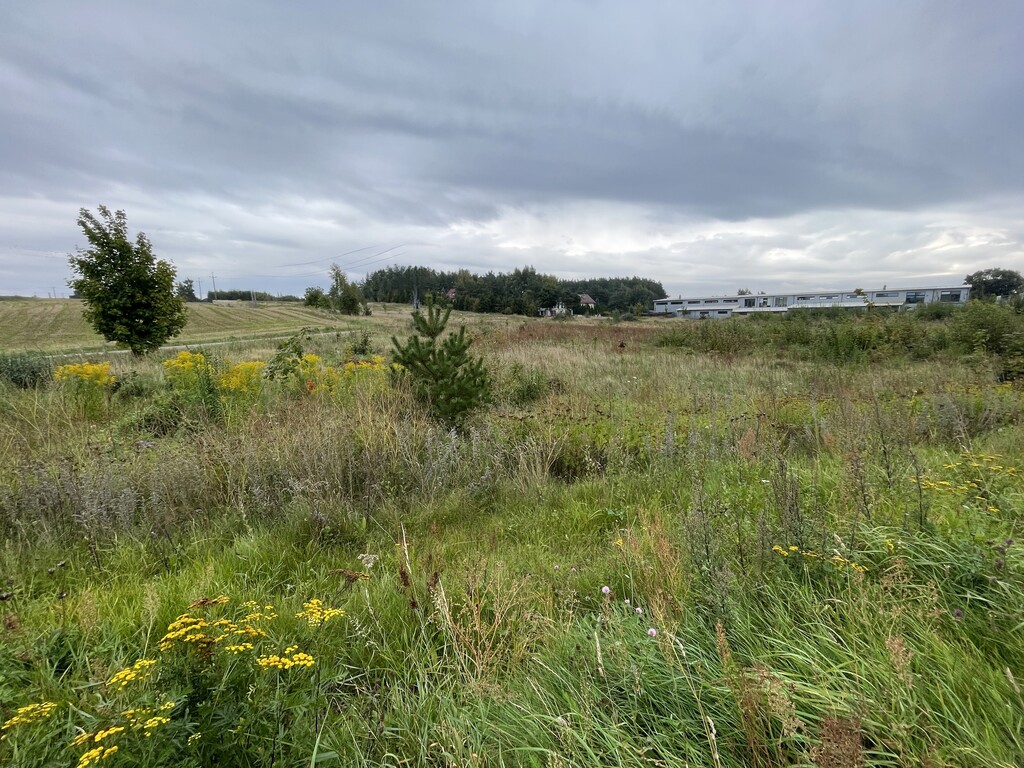 Działka inwestycyjna 3007 m², Załęże, Rzemieślnicza - zdjęcie 6