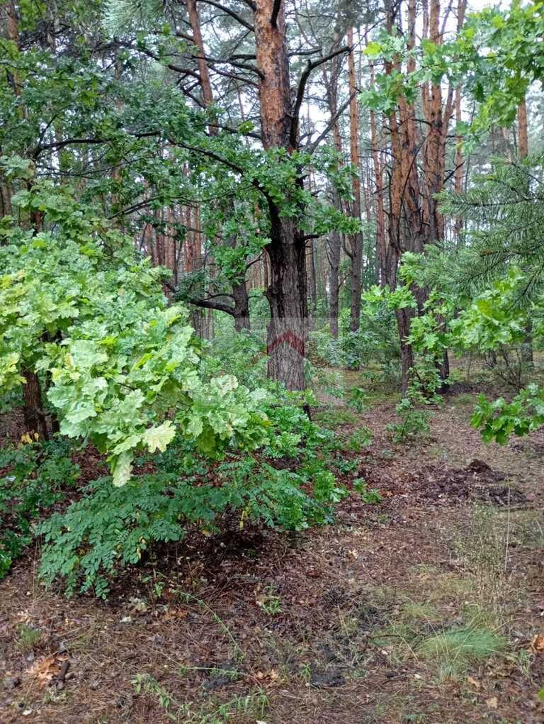 Działka rolna 1,05 ha, Otwock, Armii Krajowej - zdjęcie 1