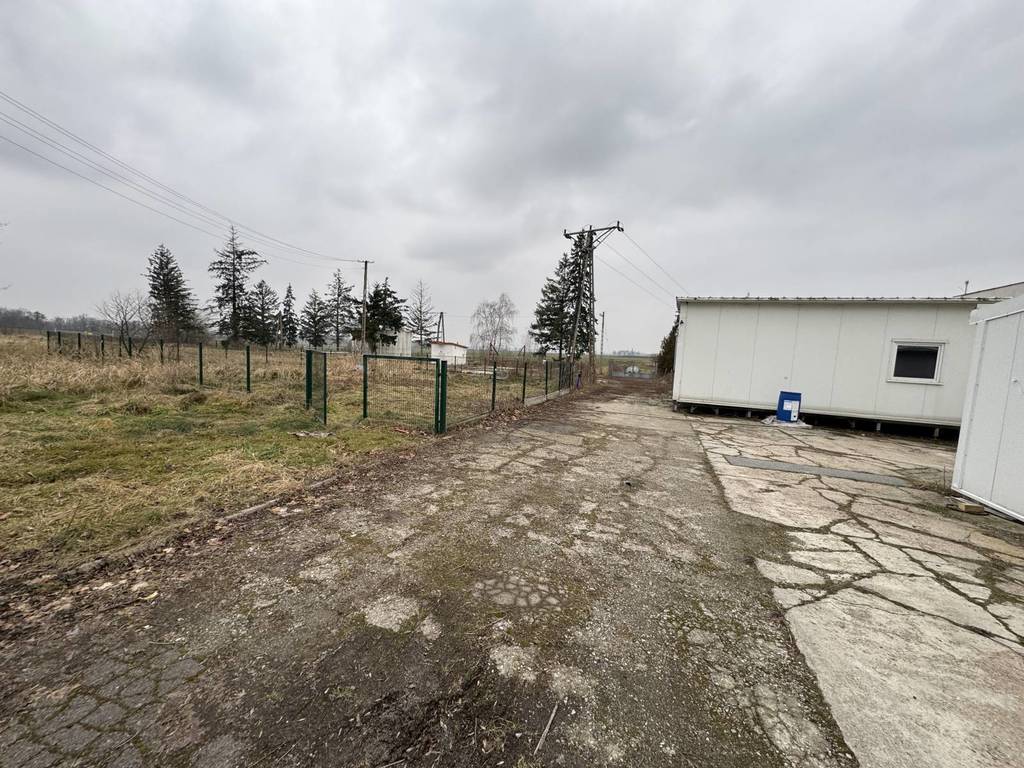 Magazyn na sprzedaż, 13586 m², Łambinowice - zdjęcie 3