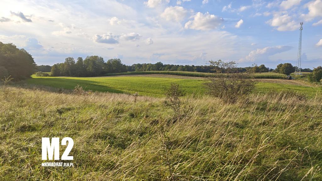 Działka budowlana 5000 m², Ełk - zdjęcie 13
