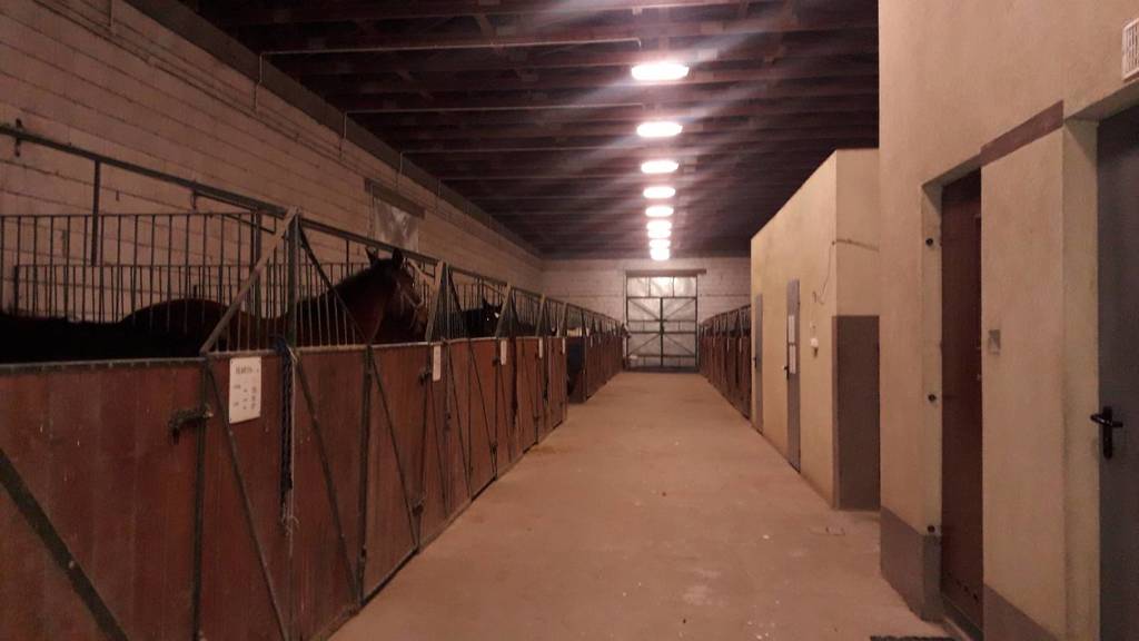 Lokal usługowy na sprzedaż, 43000&nbsp;m², Bodzanów - zdjęcie 2