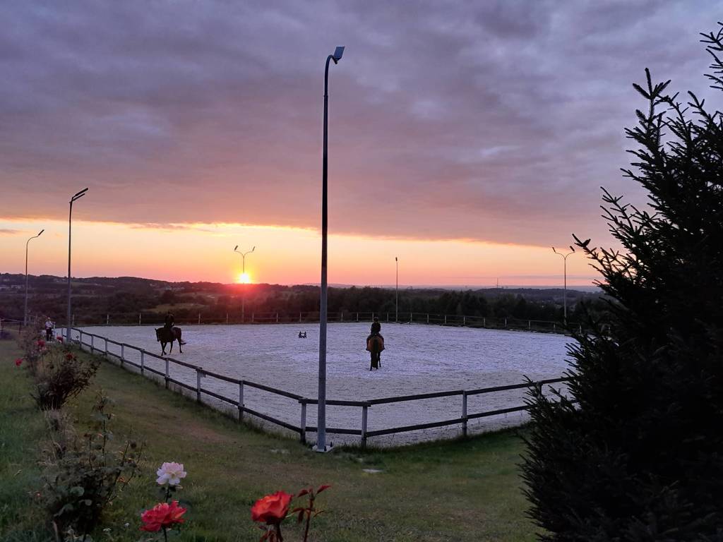 Lokal usługowy na sprzedaż, 43000&nbsp;m², Bodzanów - zdjęcie 3