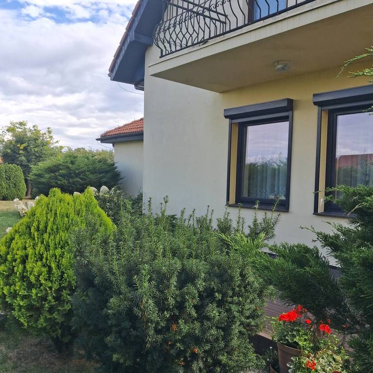 Dom 189 m², Wołczkowo, Ogrodowa - zdjęcie 3