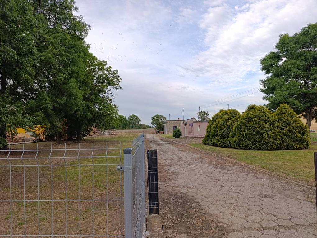Lokal usługowy na sprzedaż, 10000 m², Strzelce - zdjęcie 2