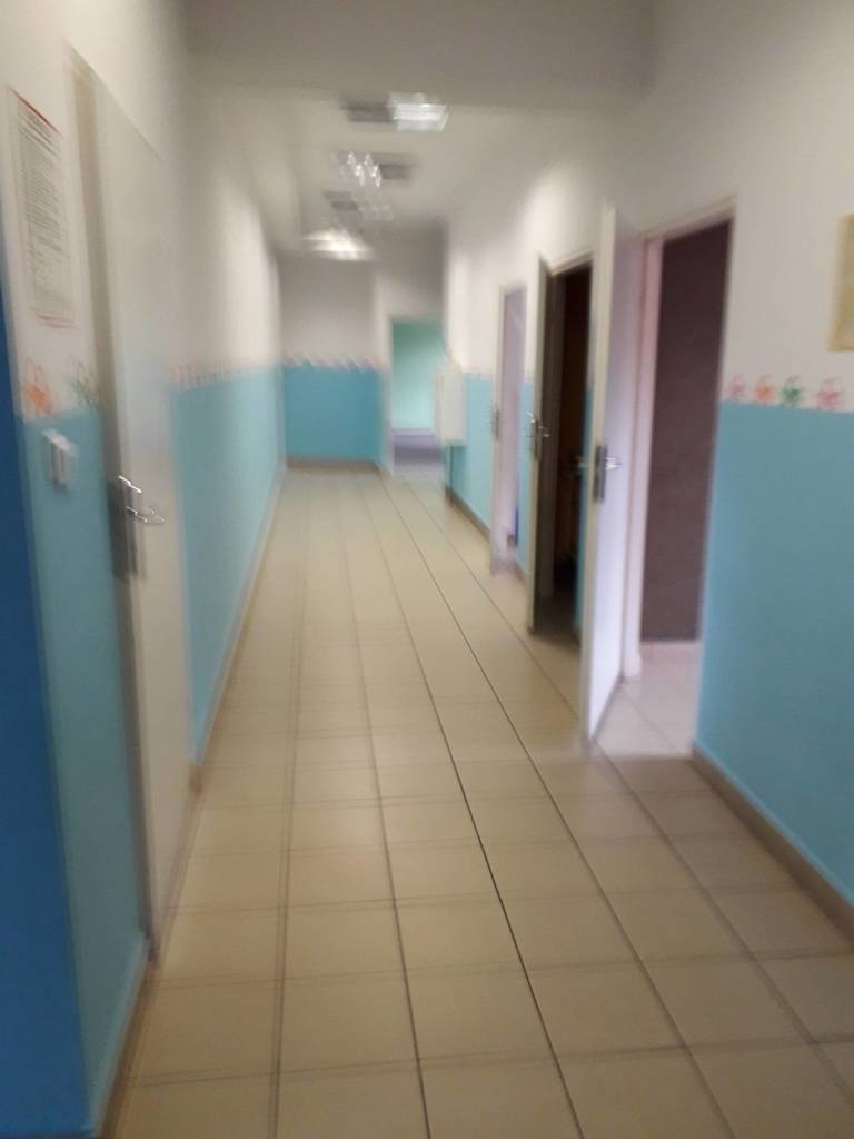 Lokal usługowy do wynajęcia, 300 m², Międzyrzec Podlaski, Lubelska - zdjęcie 5