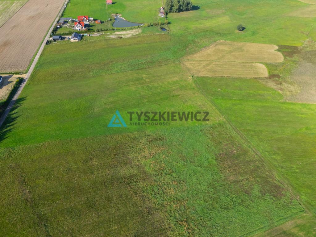 Lipienice k. Chojnic | Duża działka z WZ na 2 domy - zdjęcie 7