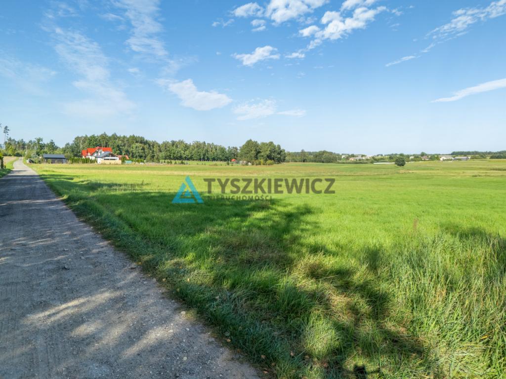 Lipienice k. Chojnic | Duża działka z WZ na 2 domy - zdjęcie 3
