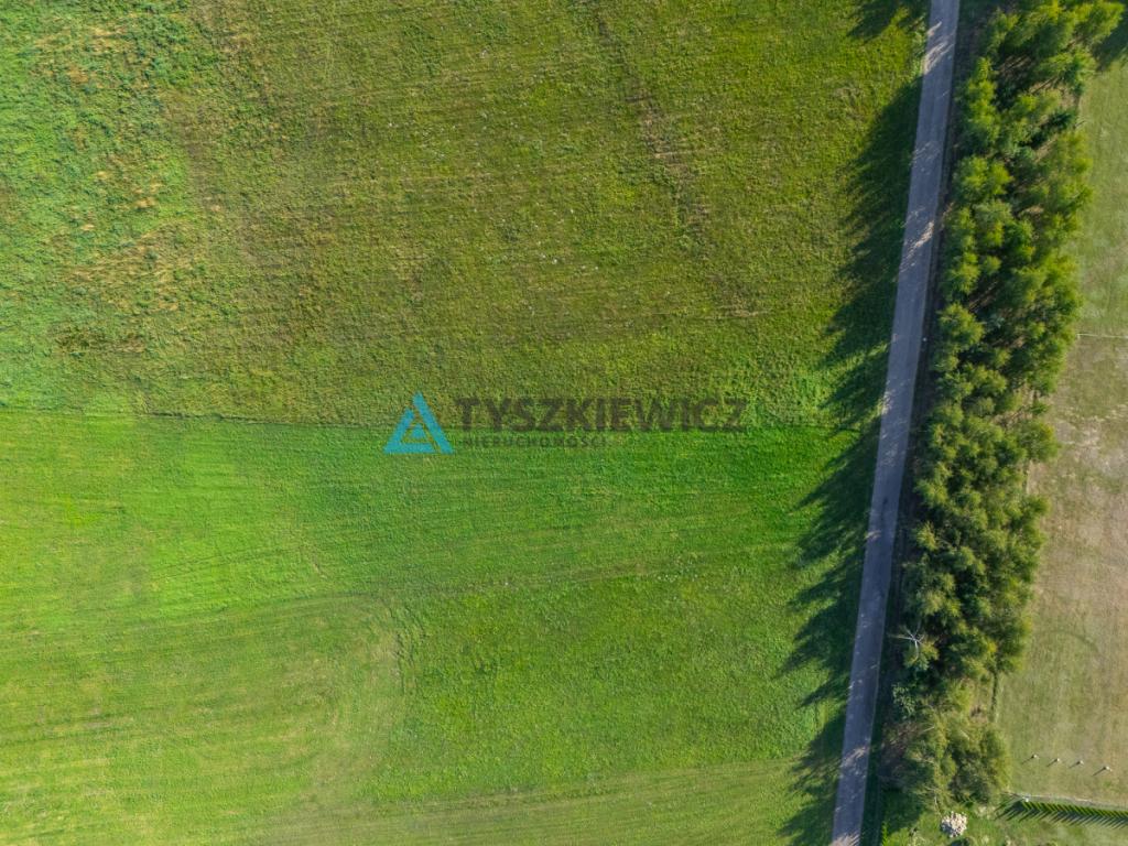 Lipienice k. Chojnic | Duża działka z WZ na 2 domy - zdjęcie 6