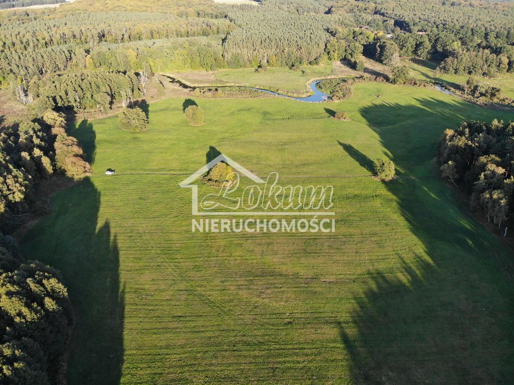 Działka rolna 8,18&nbsp;ha, Goleniów - zdjęcie 5