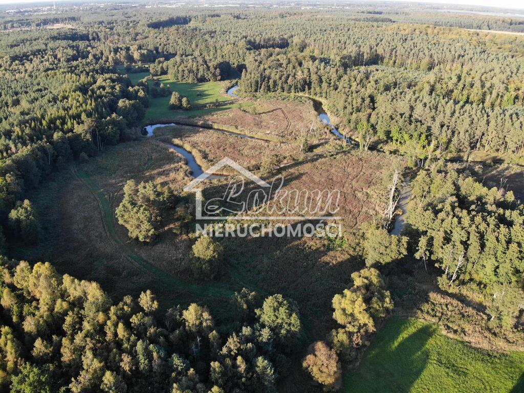 Działka rolna 8,18&nbsp;ha, Goleniów - zdjęcie 1