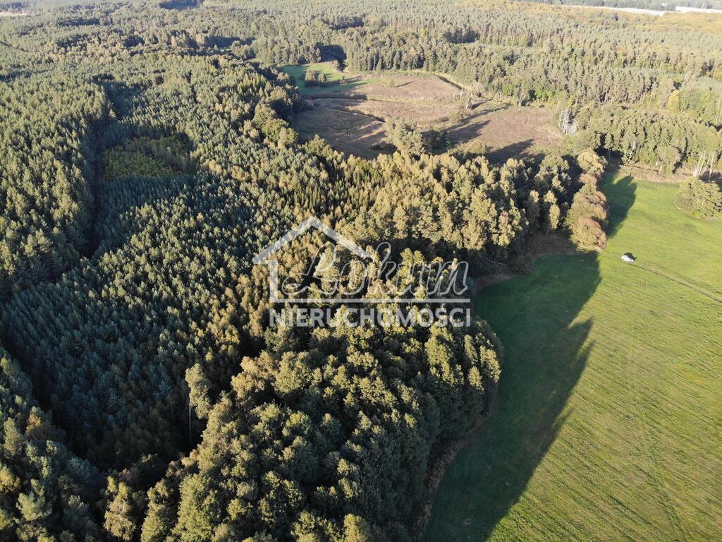 Działka rolna 8,18&nbsp;ha, Goleniów - zdjęcie 6