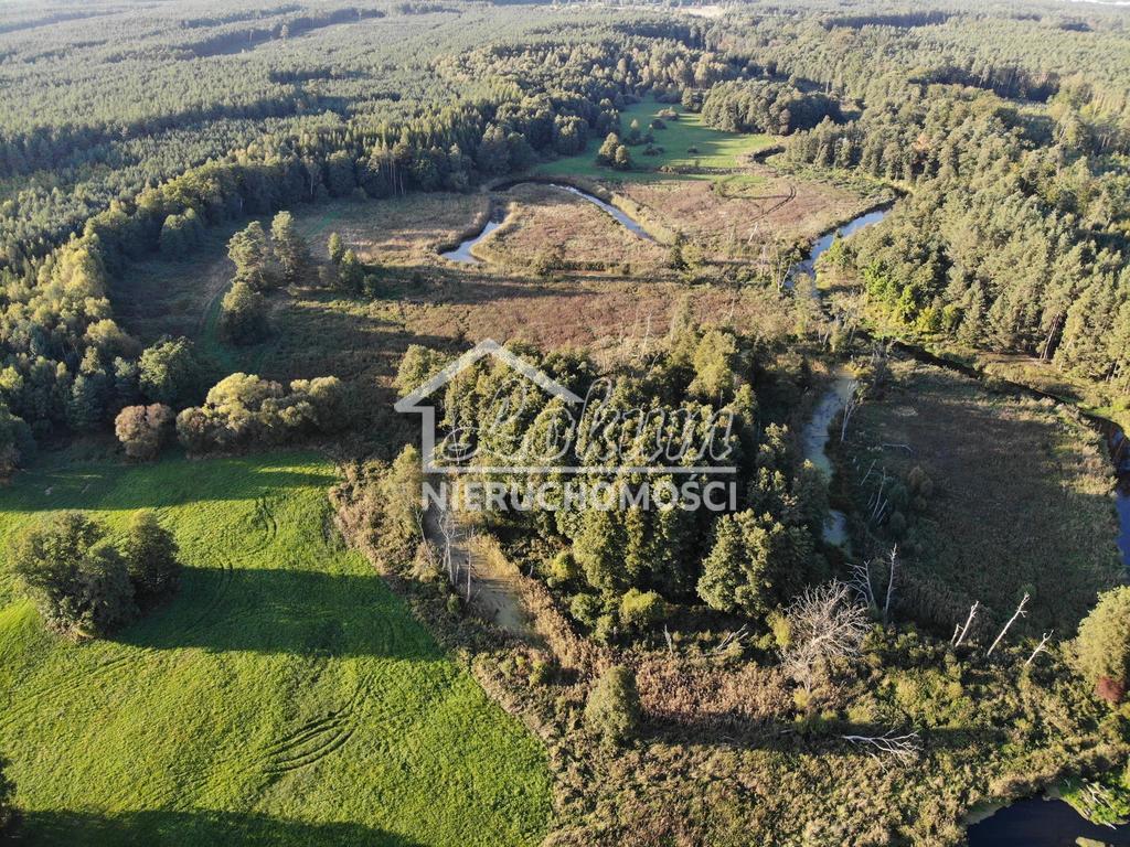Działka rolna 8,18&nbsp;ha, Goleniów - zdjęcie 4