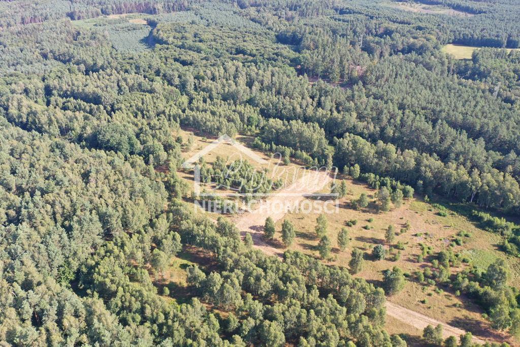 Działka budowlana 2,90 ha, Osina - zdjęcie 4