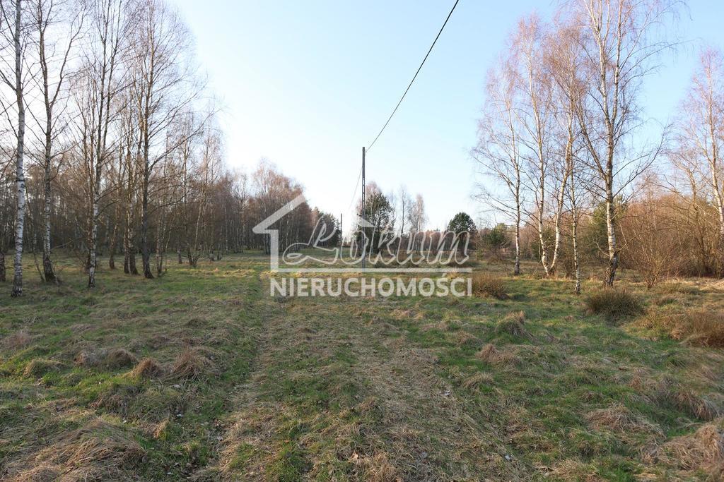 Działka budowlana 2,90 ha, Osina - zdjęcie 6