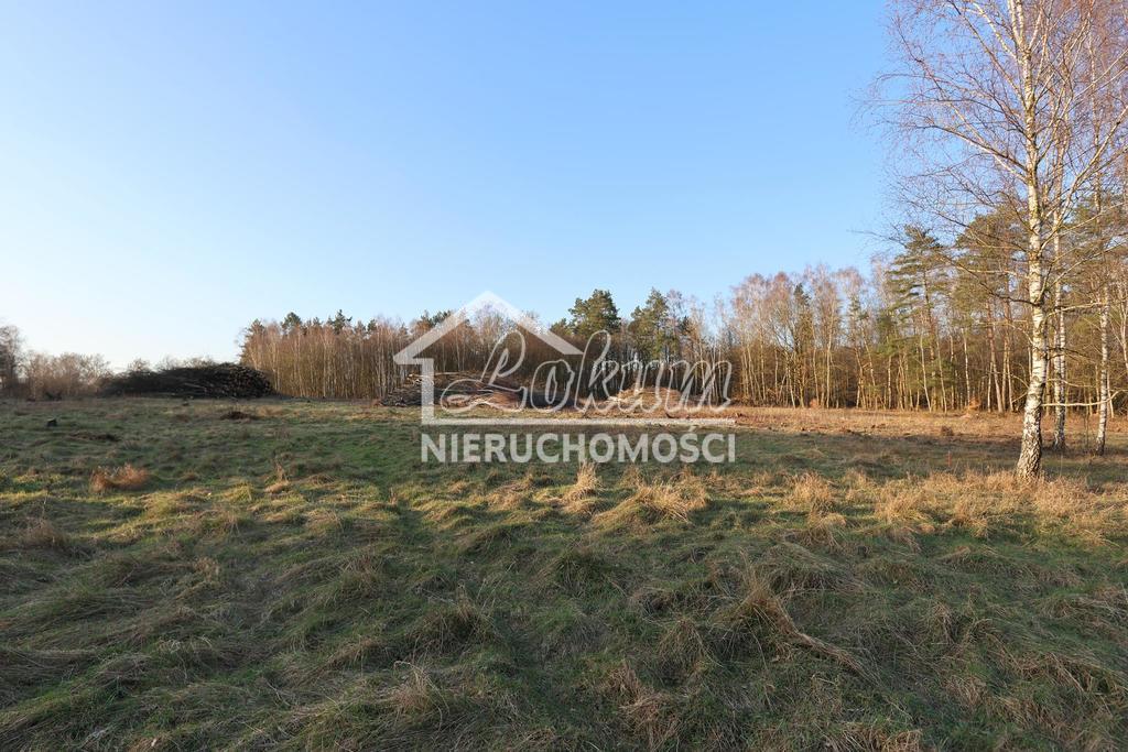 Działka budowlana 2,90 ha, Osina - zdjęcie 8