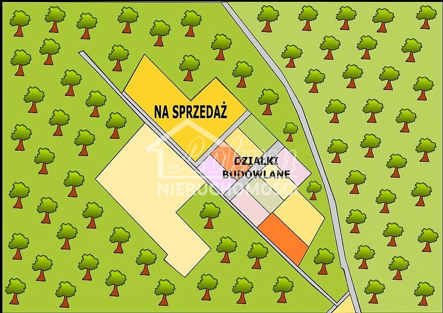 Działka budowlana 2,90 ha, Osina - zdjęcie 5