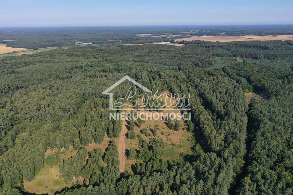 Działka budowlana 2,90 ha, Osina - zdjęcie 2