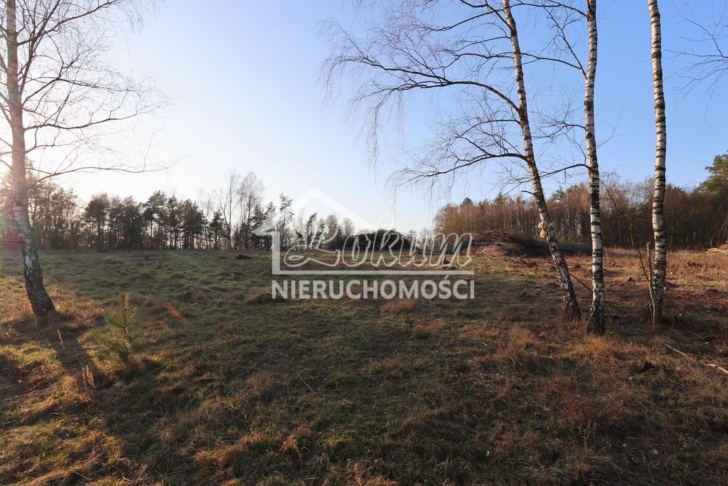 Działka budowlana 2,90 ha, Osina - zdjęcie 10
