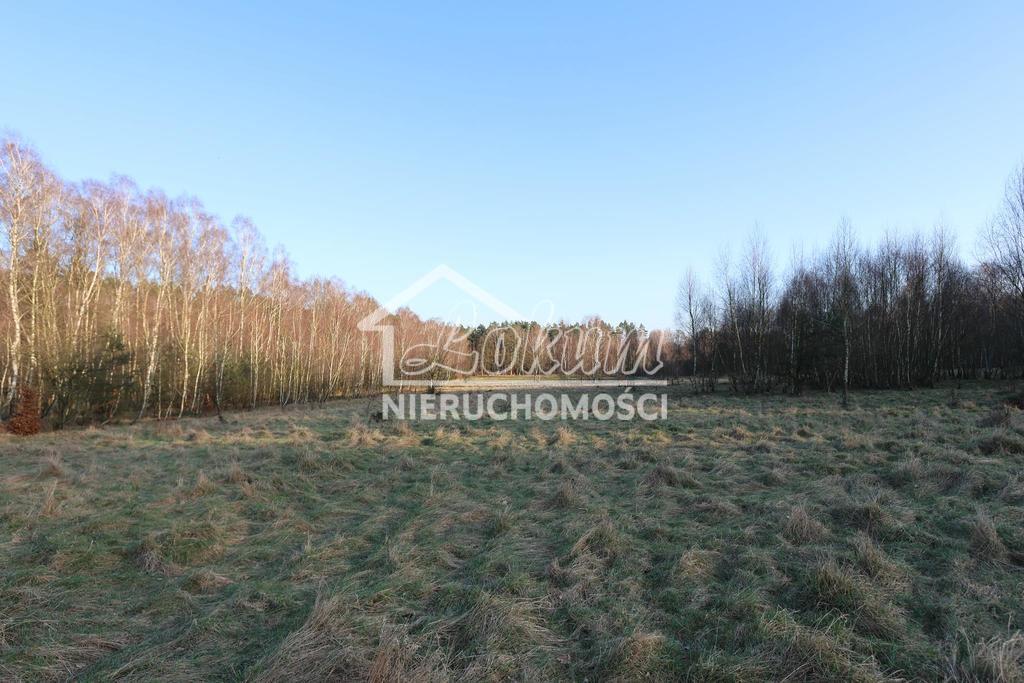 Działka budowlana 2,90 ha, Osina - zdjęcie 7