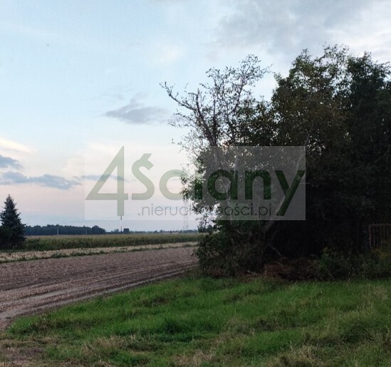 Działka budowlana 4796&nbsp;m², Szadkówek - zdjęcie 2