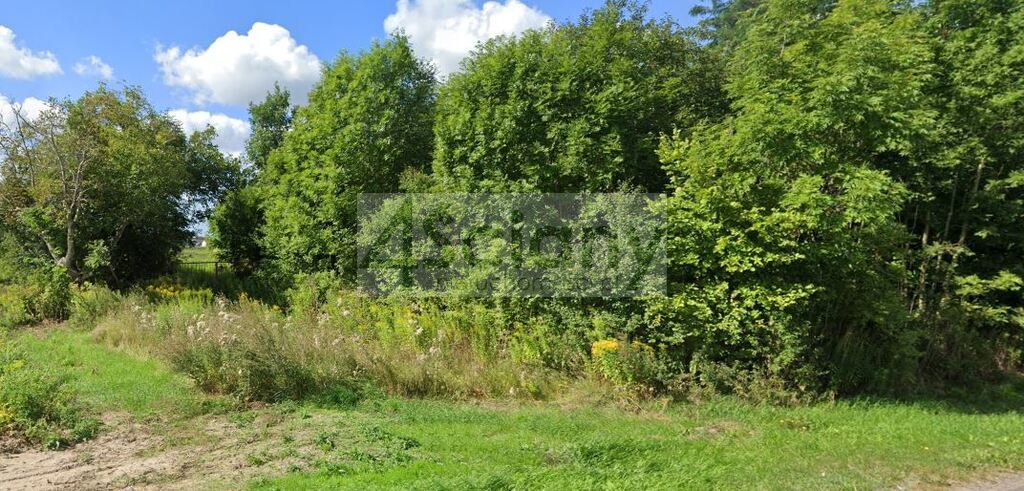 Działka budowlana 4796&nbsp;m², Szadkówek - zdjęcie 1