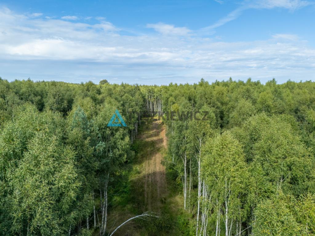 Nieruchomość rolna/zalesiona, inwestycyjna. - zdjęcie 6