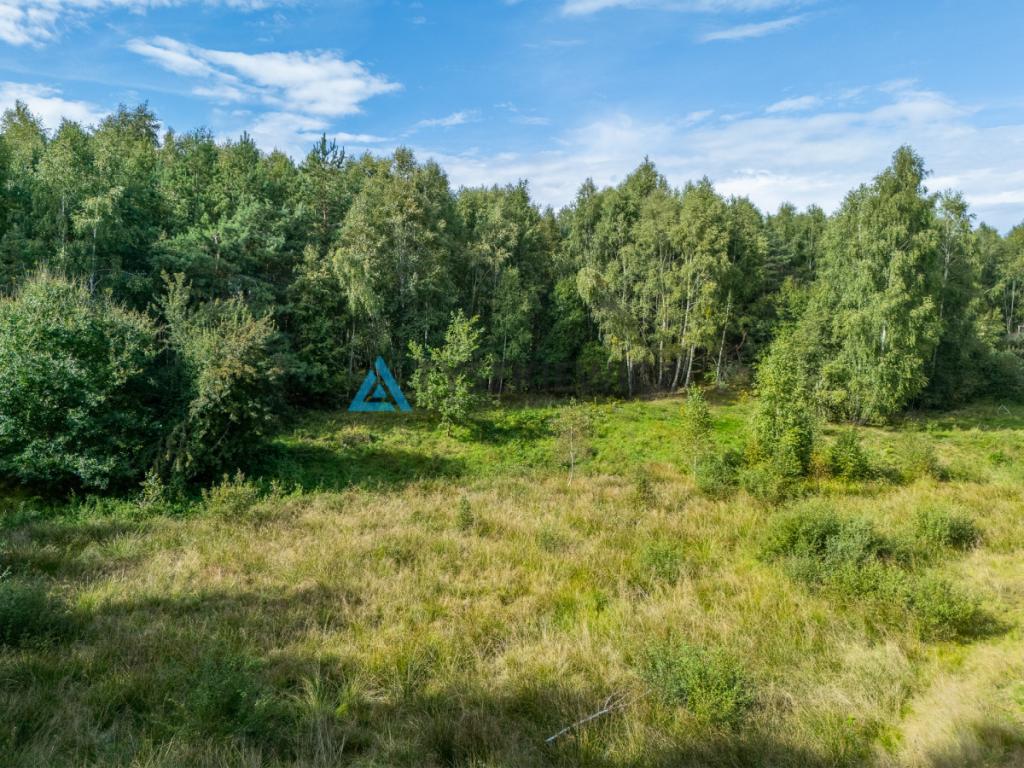 Nieruchomość rolna/zalesiona, inwestycyjna. - zdjęcie 5