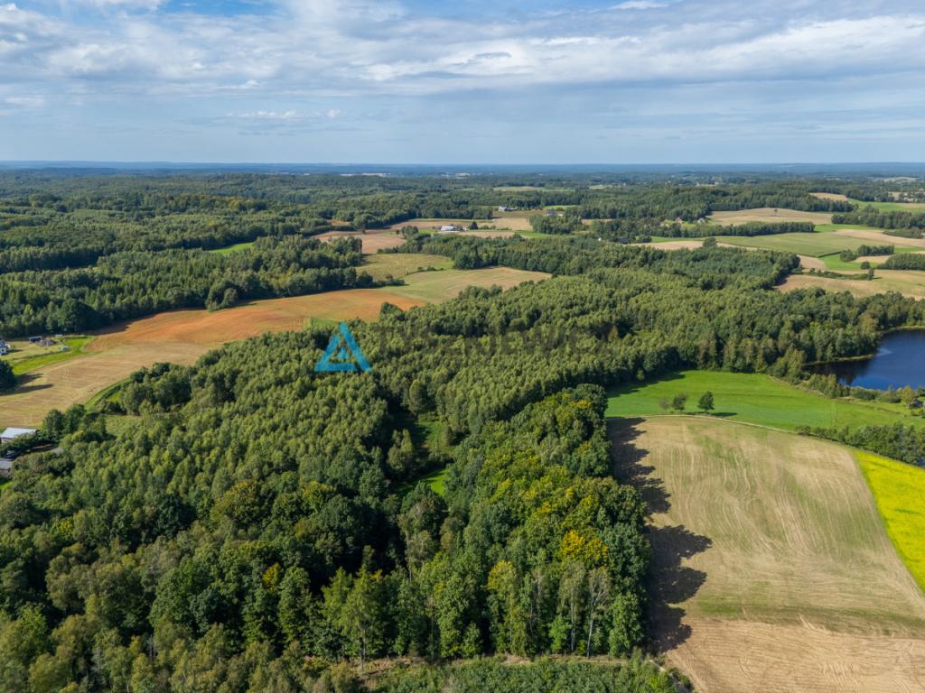 Nieruchomość rolna/zalesiona, inwestycyjna. - zdjęcie 14