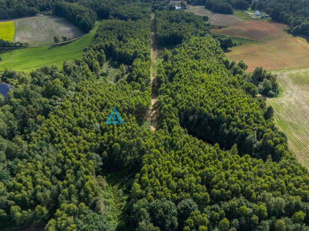 Nieruchomość rolna/zalesiona, inwestycyjna. - zdjęcie 19