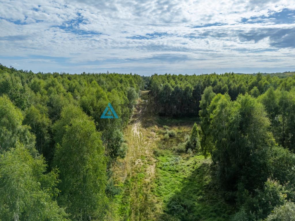 Nieruchomość rolna/zalesiona, inwestycyjna. - zdjęcie 7