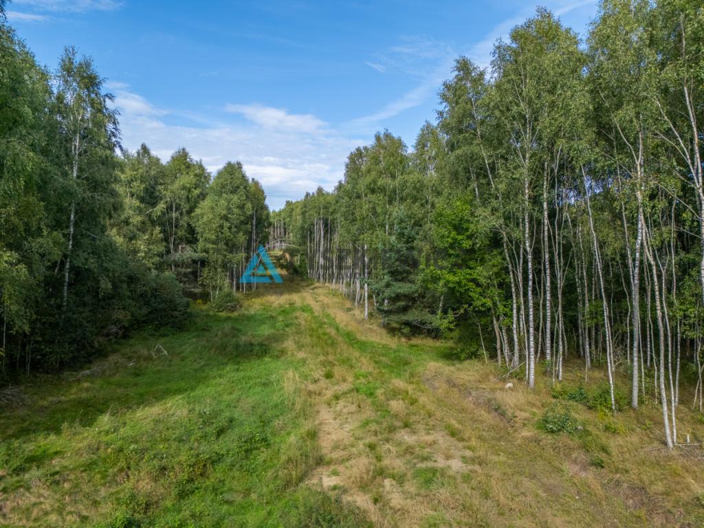 Nieruchomość rolna/zalesiona, inwestycyjna. - zdjęcie 2