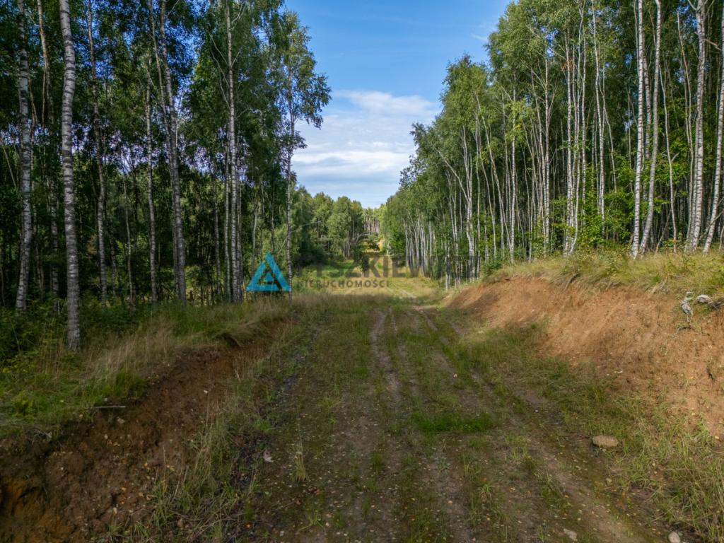 Nieruchomość rolna/zalesiona, inwestycyjna. - zdjęcie 9