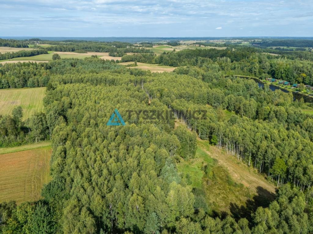 Nieruchomość rolna/zalesiona, inwestycyjna. - zdjęcie 8