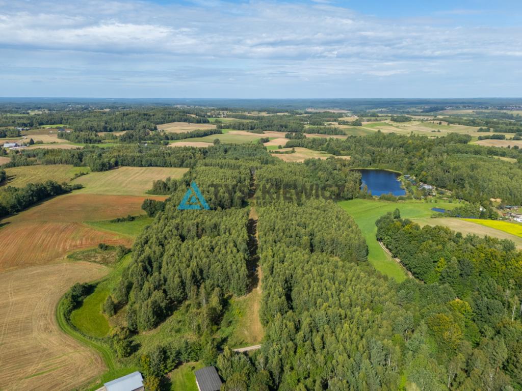 Nieruchomość rolna/zalesiona, inwestycyjna. - zdjęcie 15