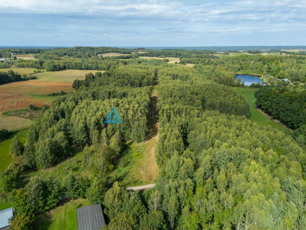Nieruchomość rolna/zalesiona, inwestycyjna. - zdjęcie 20