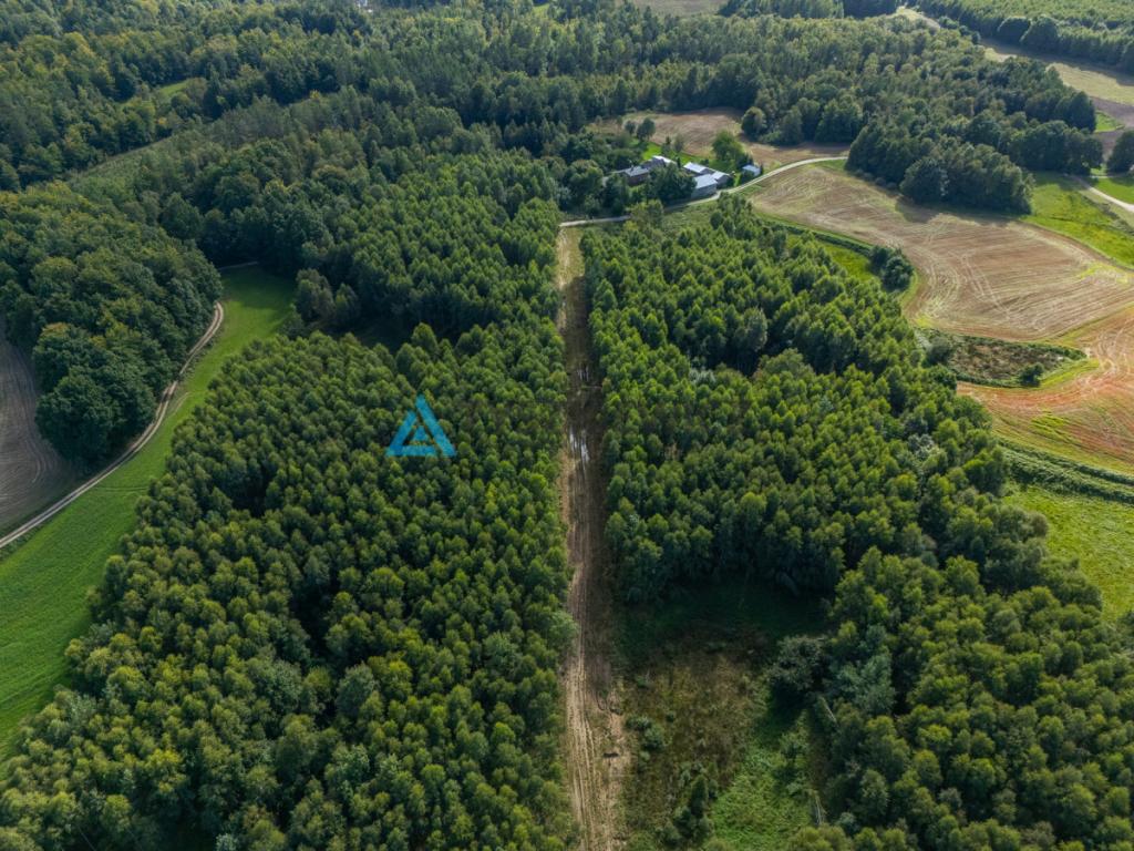 Nieruchomość rolna/zalesiona, inwestycyjna. - zdjęcie 4