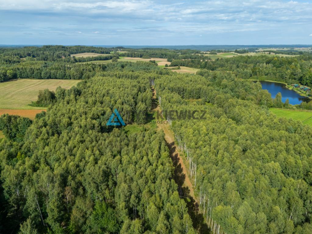 Nieruchomość rolna/zalesiona, inwestycyjna. - zdjęcie 24