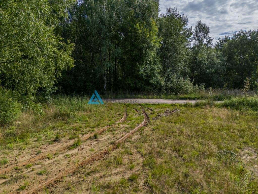 Nieruchomość rolna/zalesiona, inwestycyjna. - zdjęcie 3