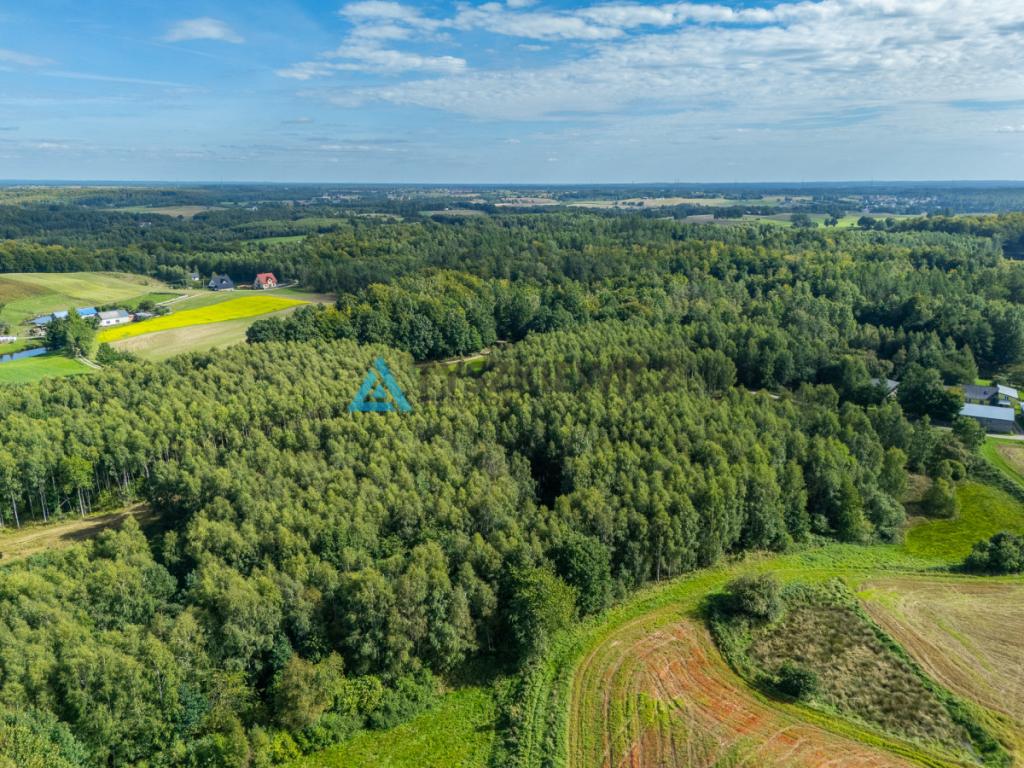 Nieruchomość rolna/zalesiona, inwestycyjna. - zdjęcie 23