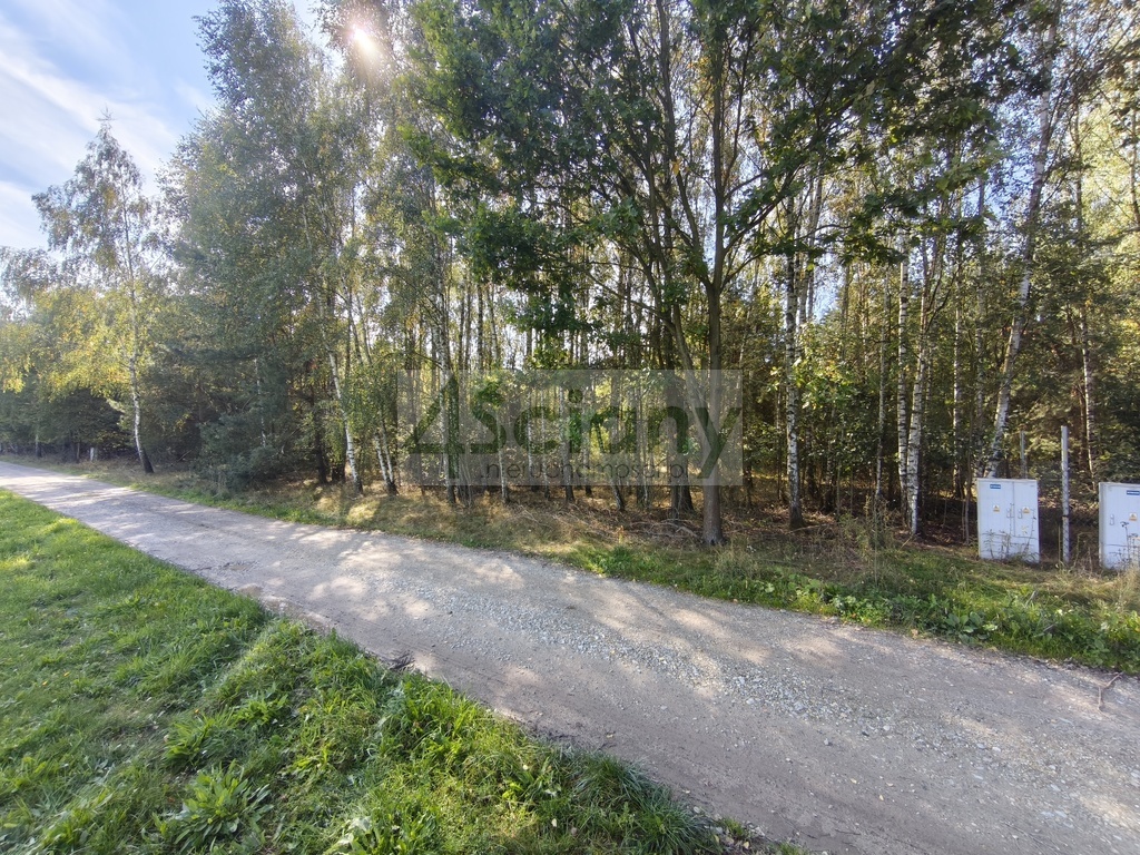 Działka budowlana 1643&nbsp;m², Zaręby - zdjęcie 8