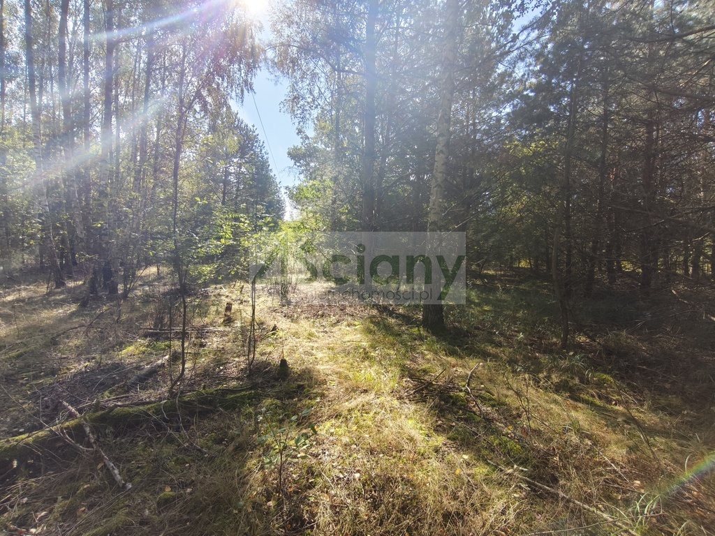 Działka budowlana 1643&nbsp;m², Zaręby - zdjęcie 9